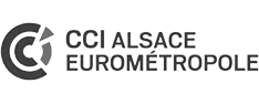 CCI Grand Est par AODB Logo CCI Grand Est
