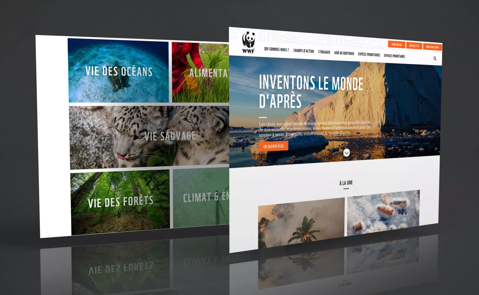 WWF_Mockup_Web_Page