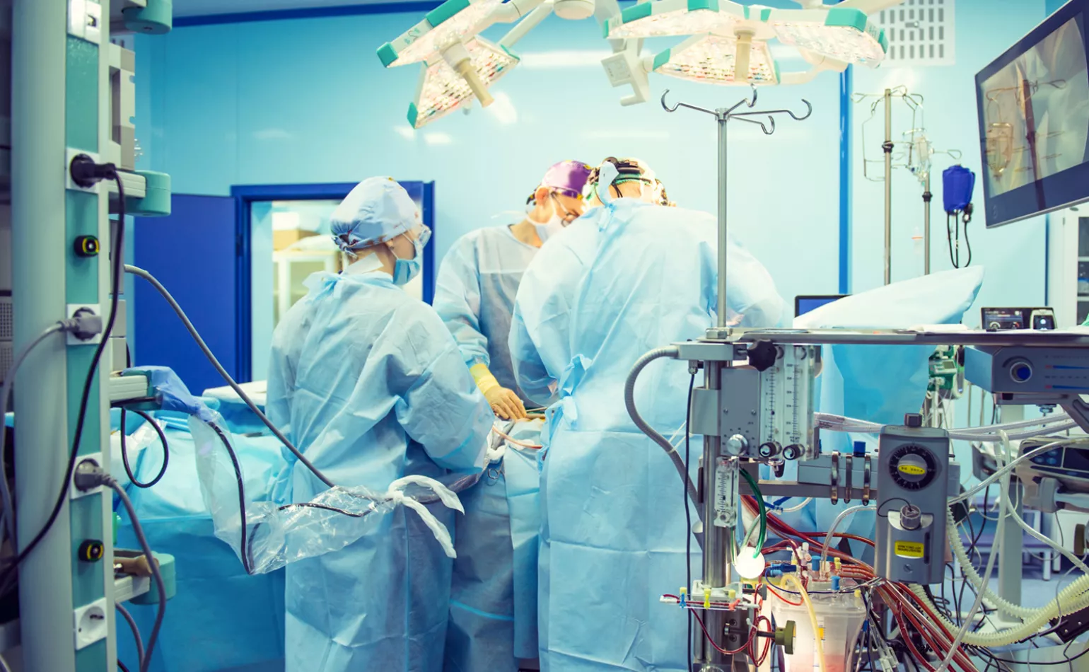 IRCAD Visible Patient
