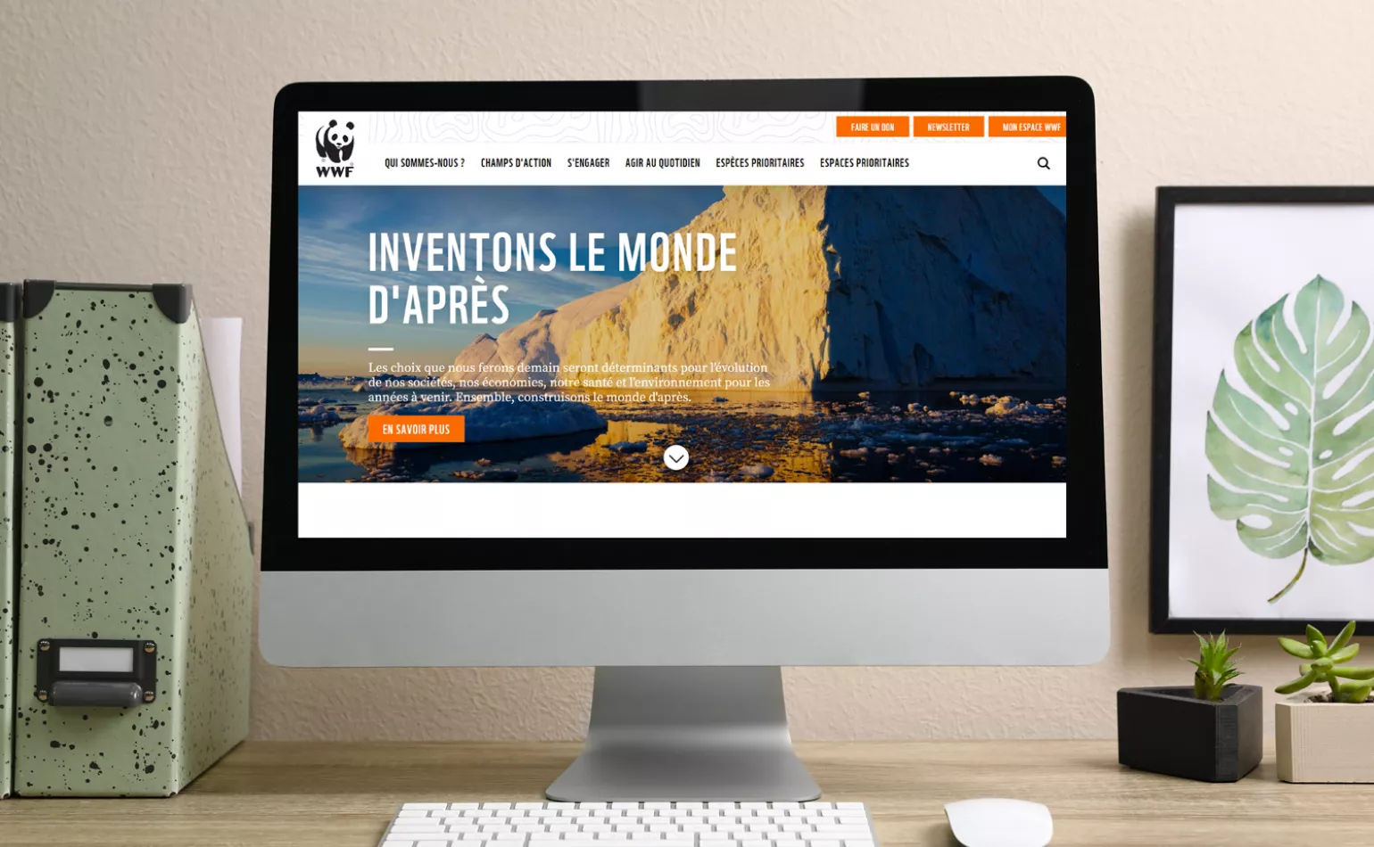 wwf-conseils-drupal-audit-amoa