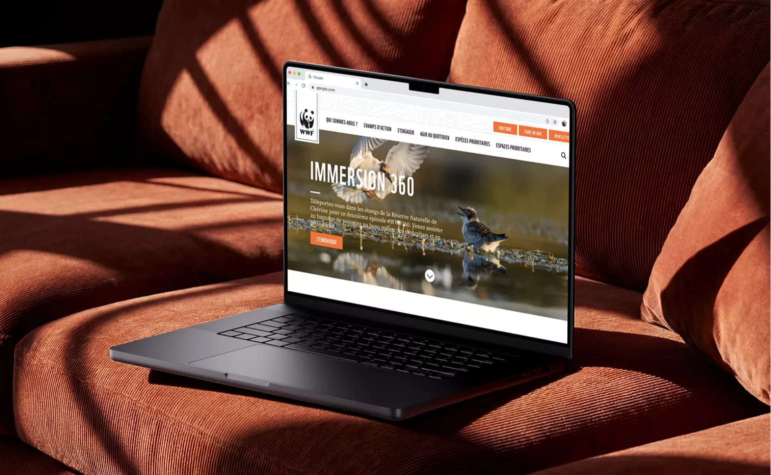 Aperçu de l'intranet Drupal de WWF, audité et maintenu en évolution sur mesure par l'agence AODB.