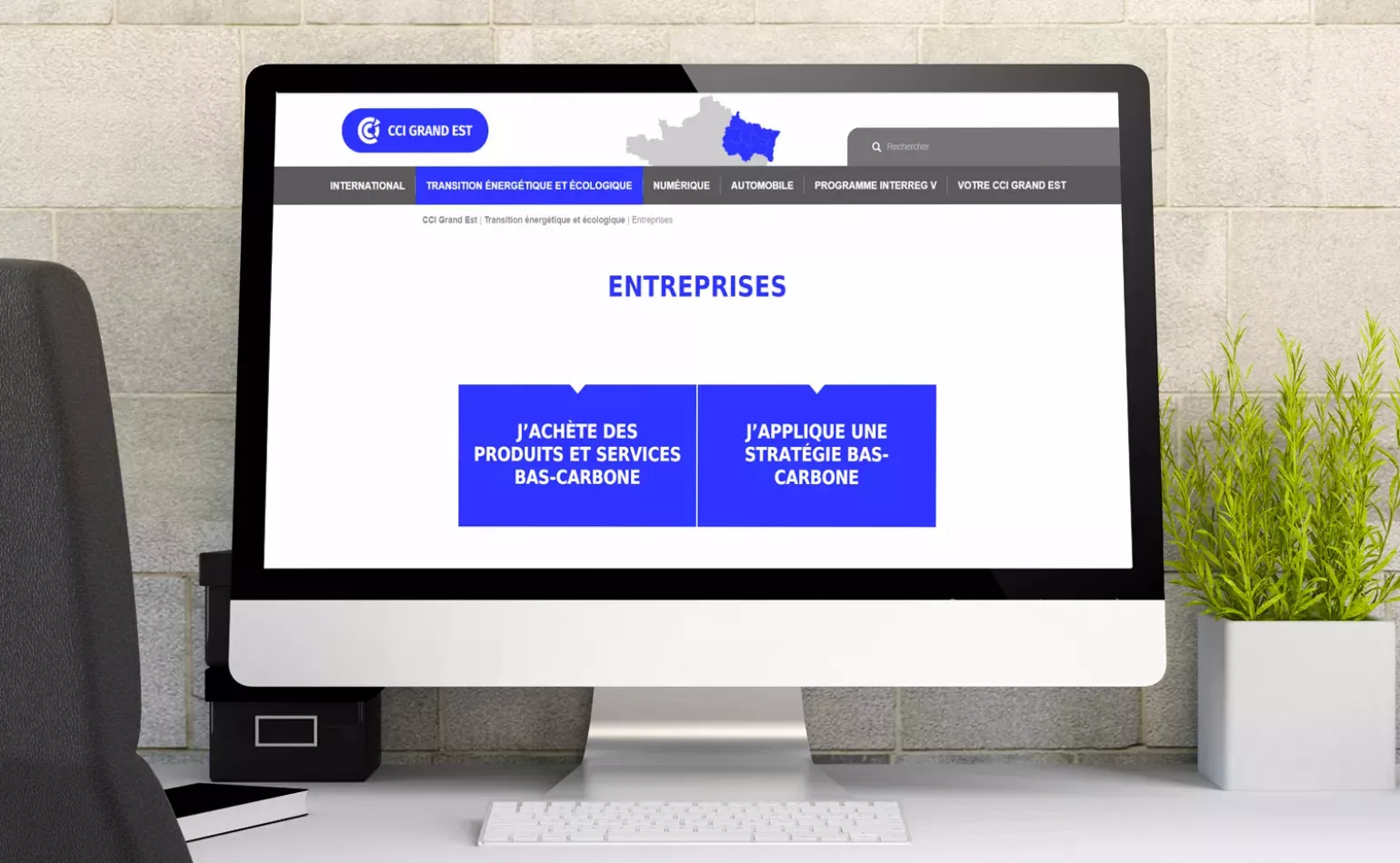 Version mobile responsive de l'écosystème digital Drupal de la CCI Alsace, optimisée pour l'expérience utilisateur par AODB.