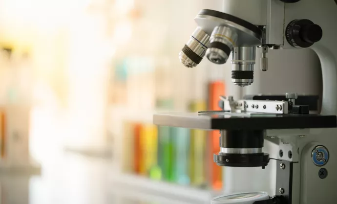 Boston Scientific